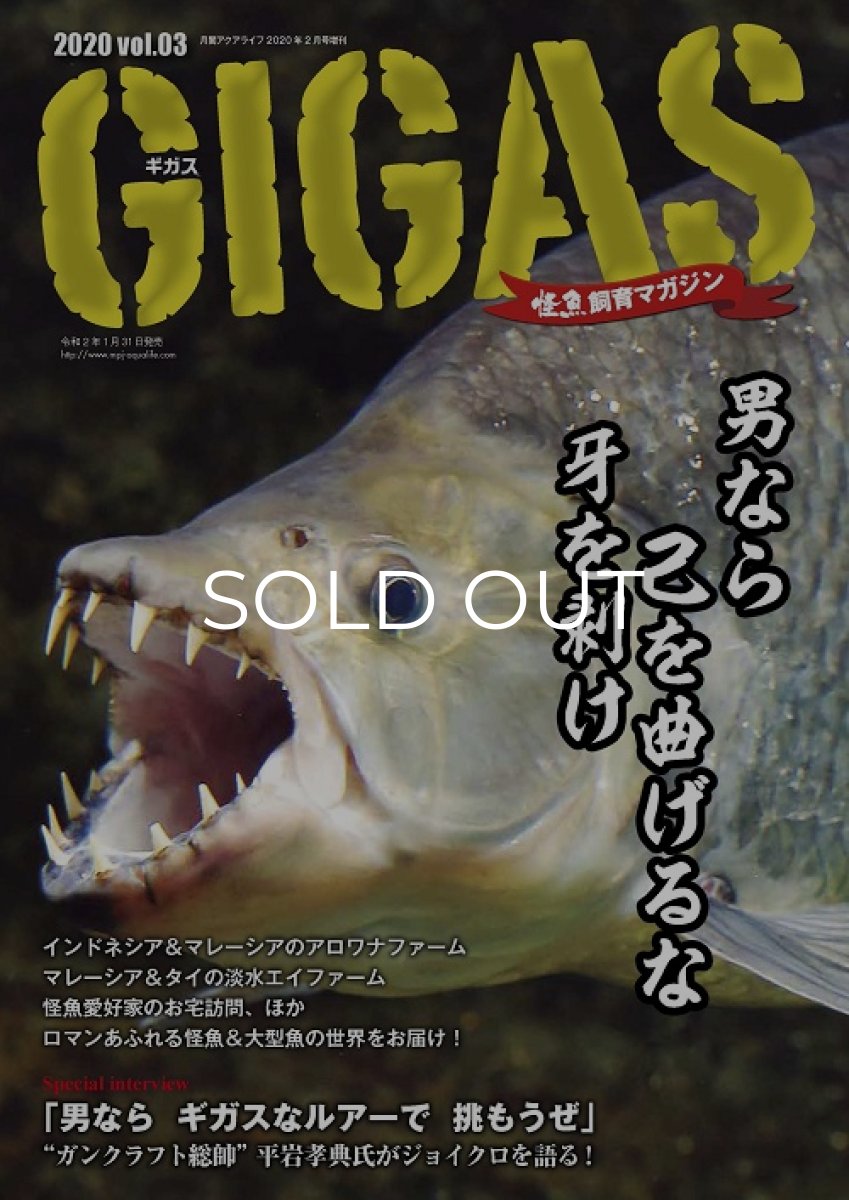 画像1: GIGAS　Vol.３ (1)