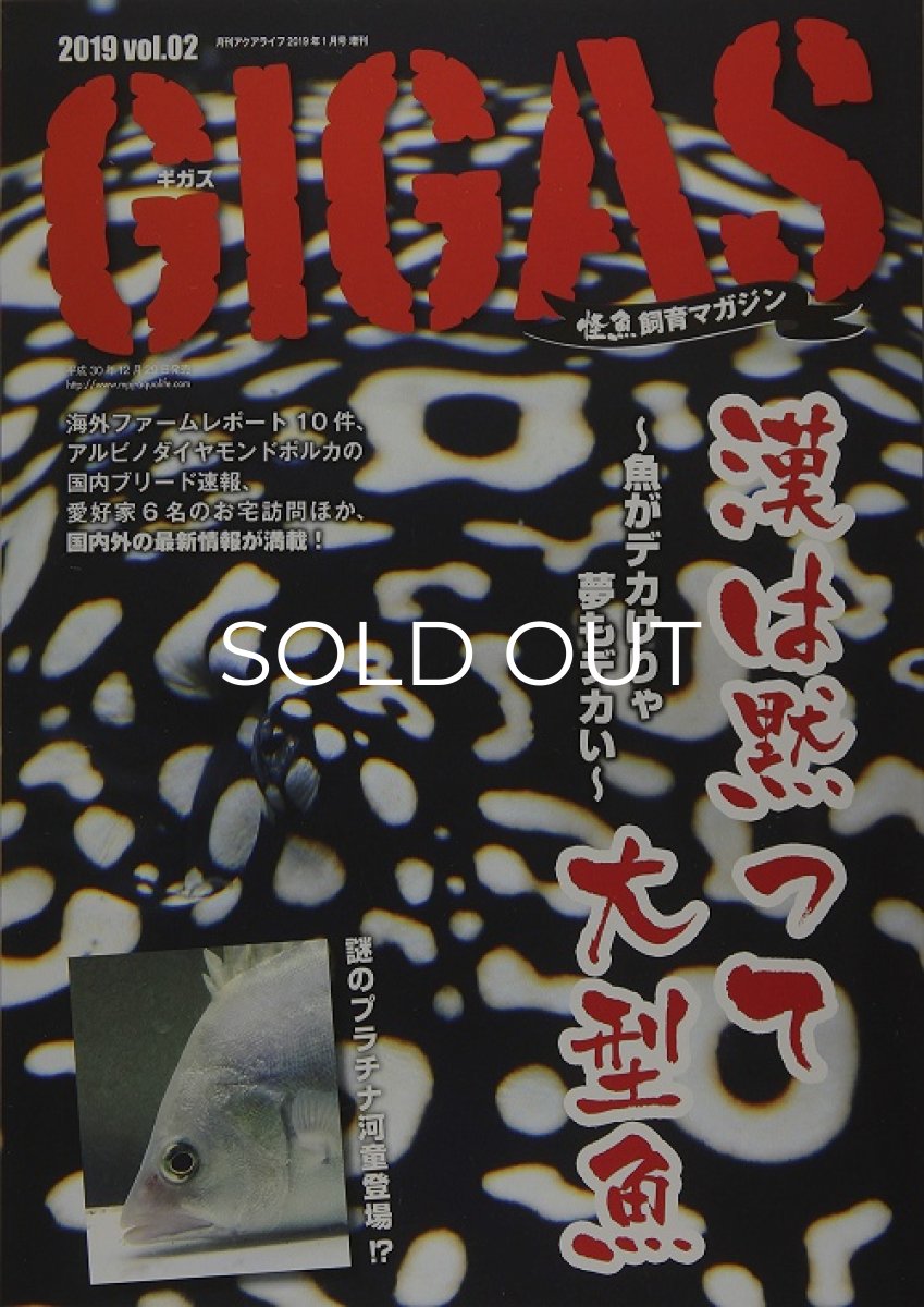 画像1: GIGAS　Vol.２ (1)