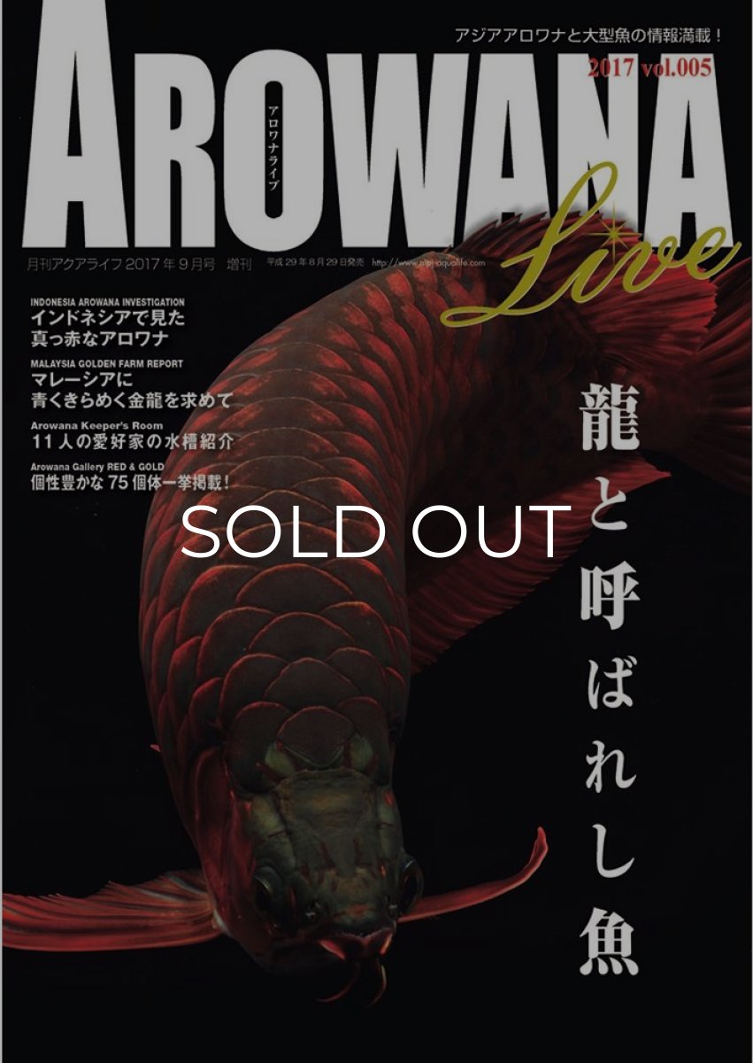 画像1: アロワナライブ　VOL.５ (1)