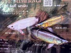 画像4: 皇 SUMERAGI アロワナルアー (4)