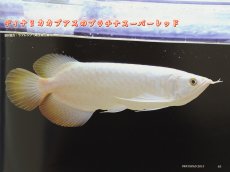 画像5: プラタパッド　59 (5)