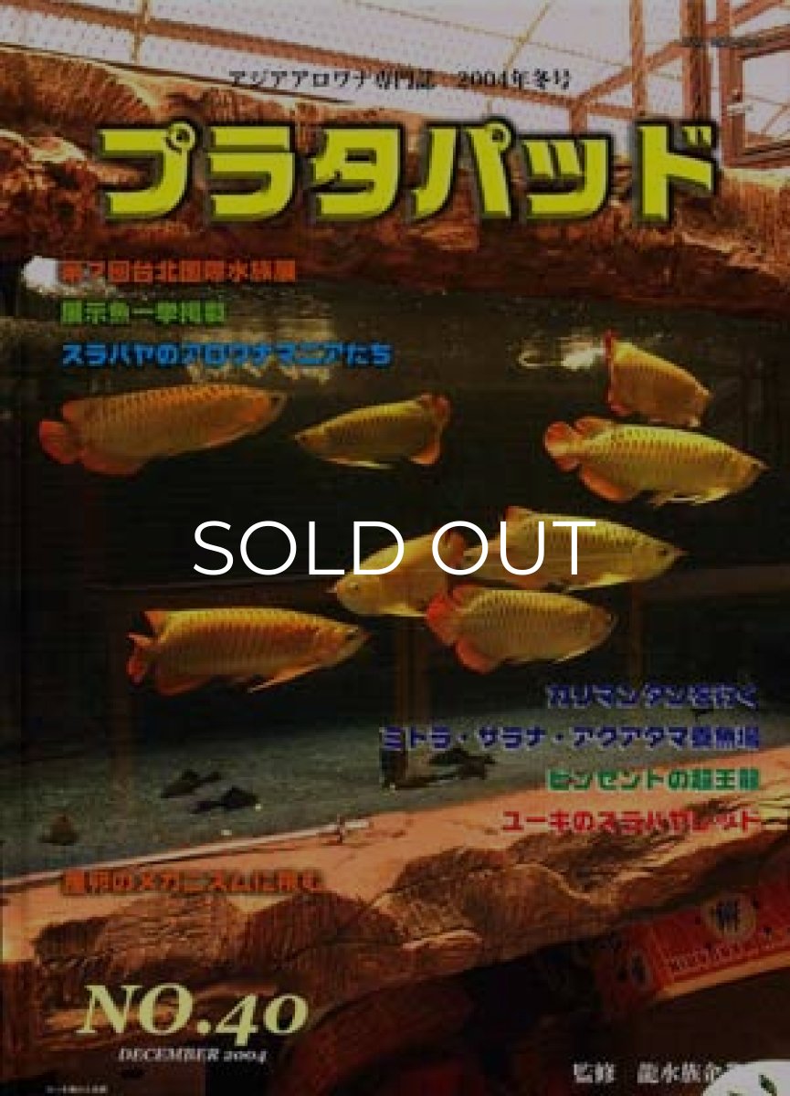画像1: プラタパッド　40 (1)