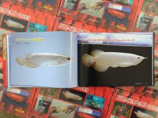画像4: プラタパッド　59 (4)