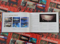 画像2: プラタパッド　59 (2)