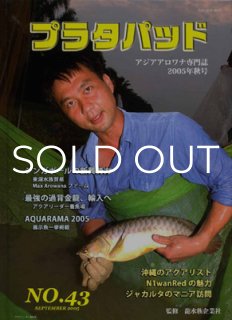 プラタパッド - アジアアロワナ専門店ラフレシア