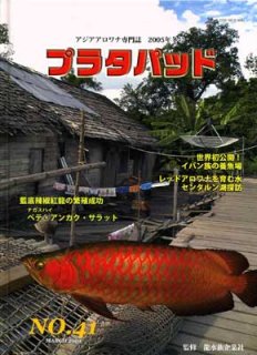 プラタパッド - アジアアロワナ専門店ラフレシア