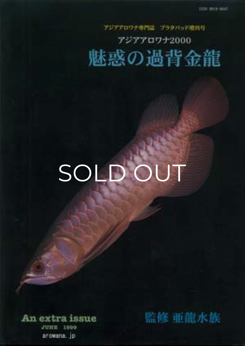 画像1: 魅惑の過背金龍 (1)