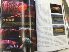 画像4:  プラタパッド（台湾版）2015冬季号 (4)