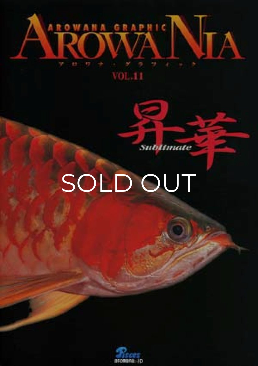 画像1: アロワニア　VOL.11 (1)