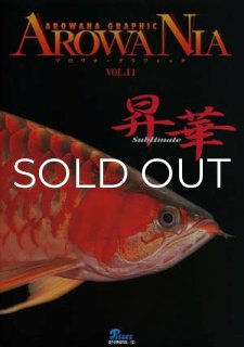 アロワニア - アジアアロワナ専門店ラフレシア