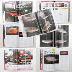 画像2: ヤング・アロワニア (2)