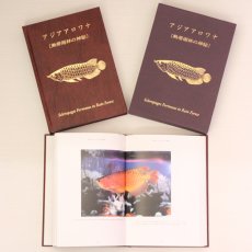 画像2: 熱帯雨林の神秘 (2)