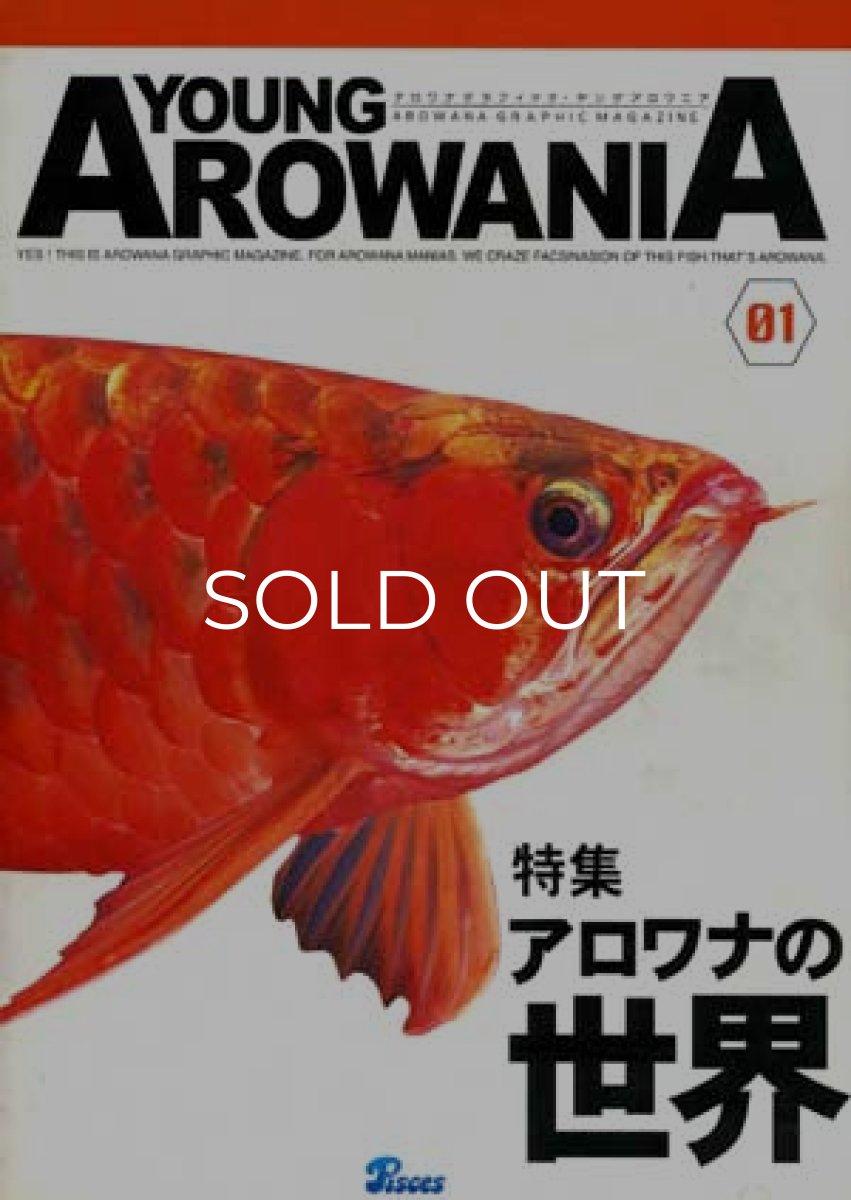 画像1: ヤング・アロワニア (1)