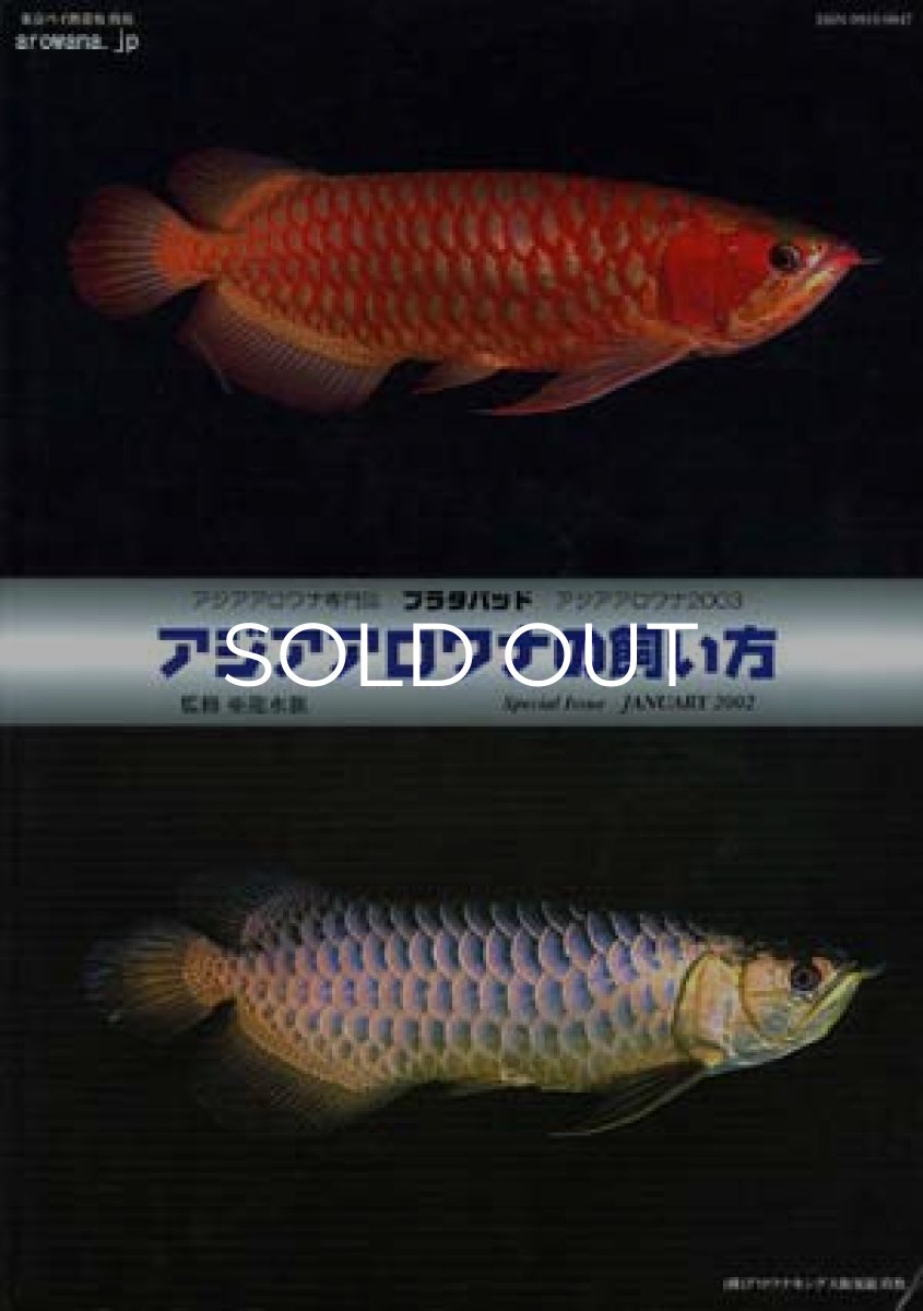 画像1: アジアアロワナの飼い方 (1)