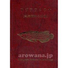 画像1: 熱帯雨林の神秘 (1)