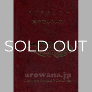 鳴美 - アジアアロワナ専門店ラフレシア