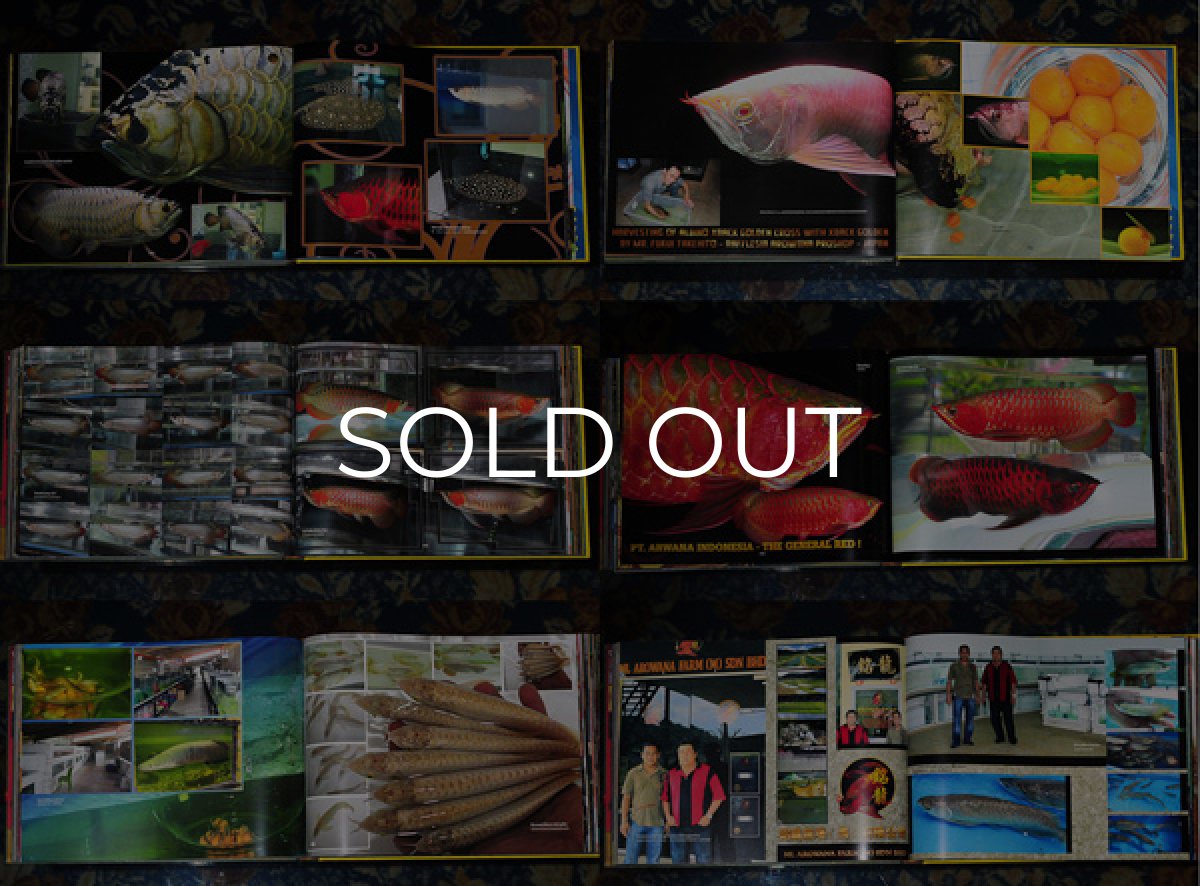 画像2: インドドラゴン10（洋書）「印尼神龍」  (2)