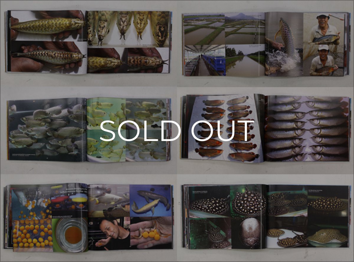 画像2: インドドラゴン７（洋書）「印尼神龍」  (2)