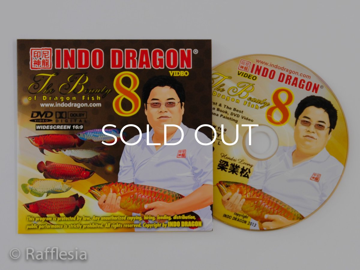 画像10: インドドラゴン13（洋書）「印尼神龍」  (10)