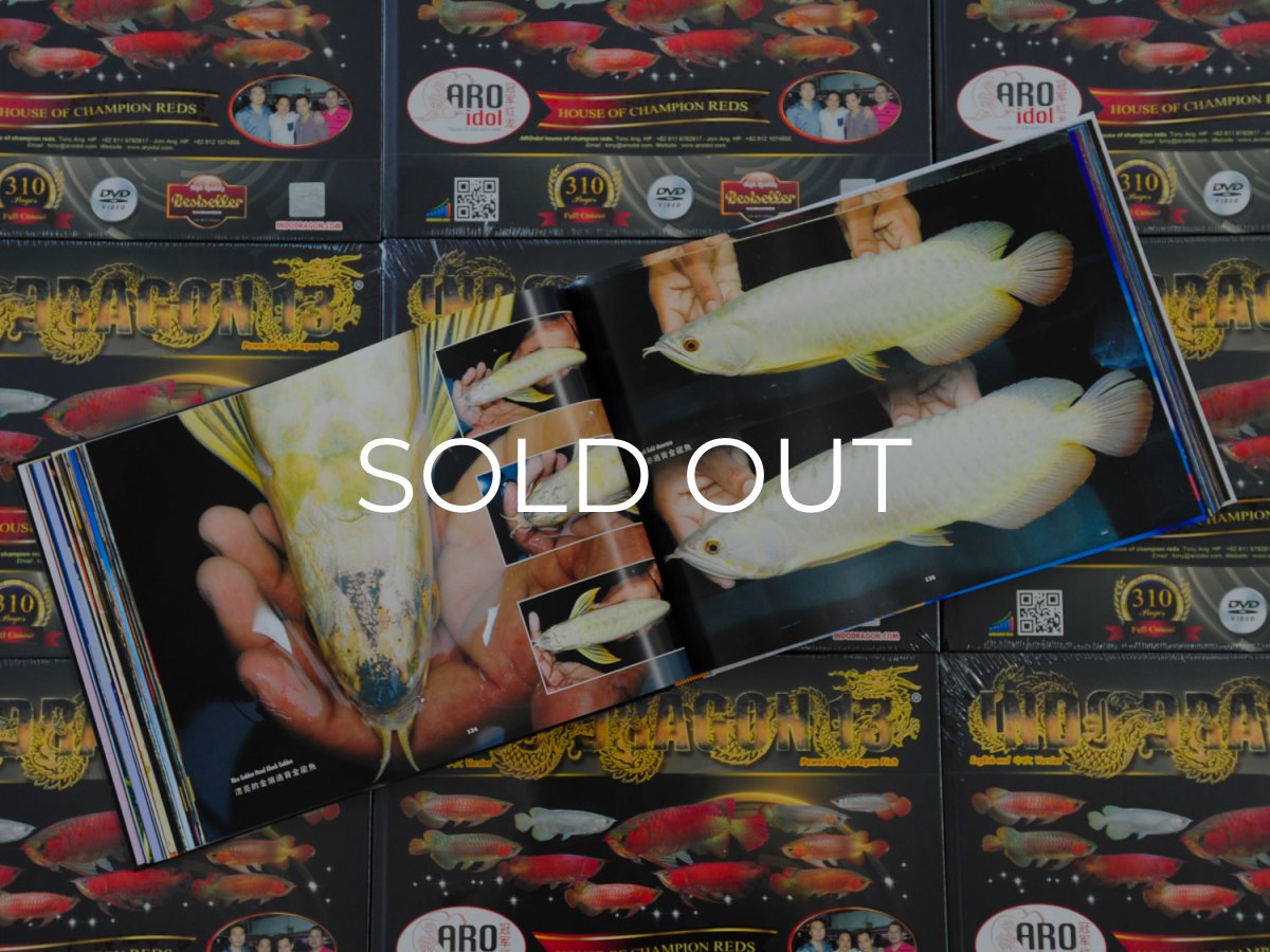 画像9: インドドラゴン13（洋書）「印尼神龍」  (9)