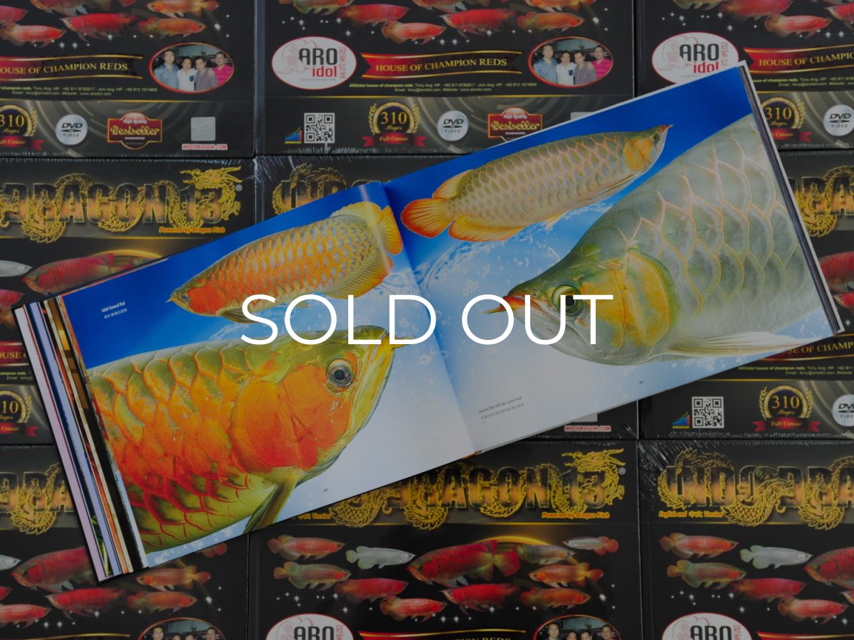 画像4: インドドラゴン13（洋書）「印尼神龍」  (4)