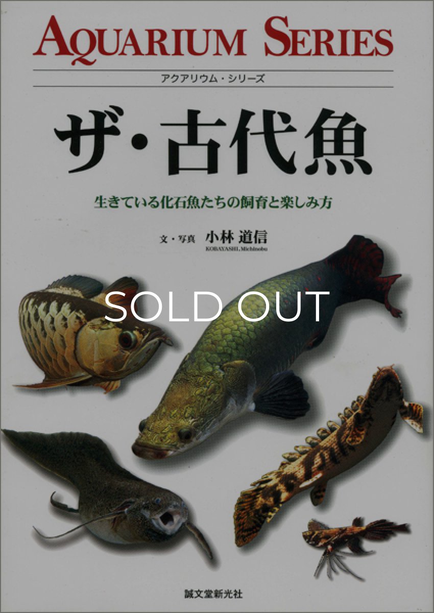 画像1: ザ・古代魚 (1)