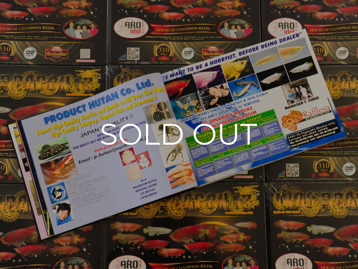 画像2: インドドラゴン13（洋書）「印尼神龍」  (2)