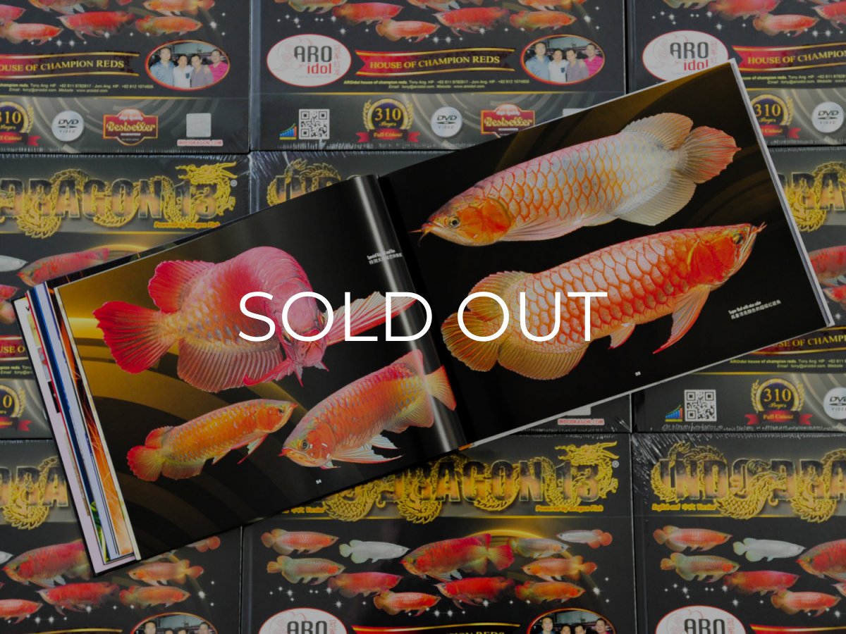 画像3: インドドラゴン13（洋書）「印尼神龍」  (3)