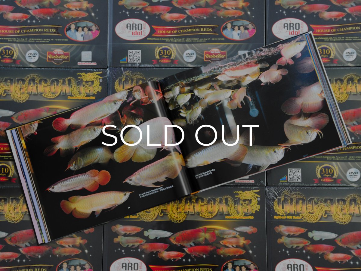 画像8: インドドラゴン13（洋書）「印尼神龍」  (8)