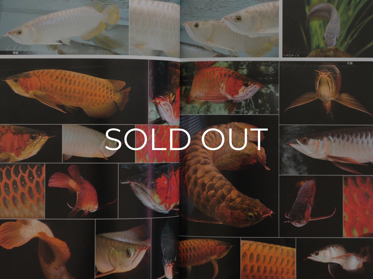 画像6: アロワナ完全飼育 (6)