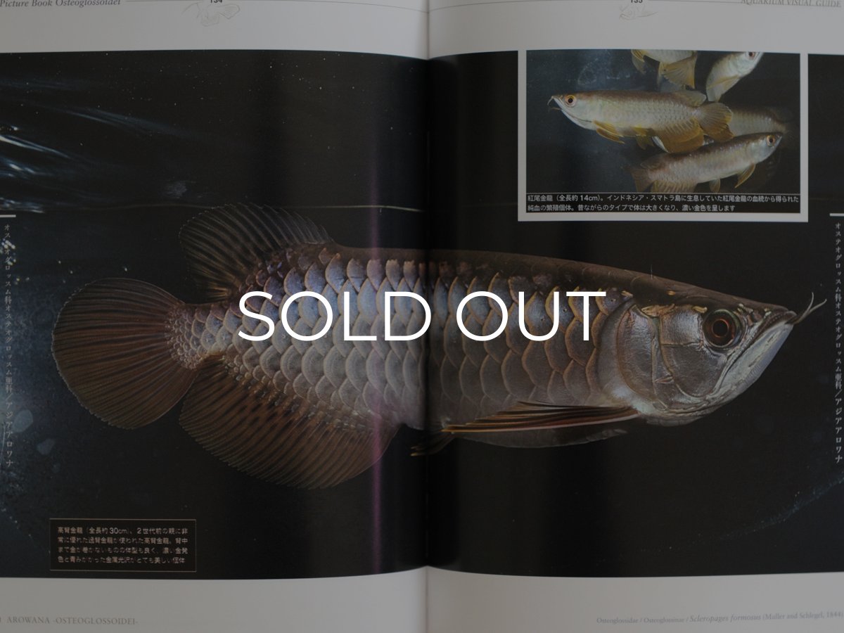 画像3: アロワナ完全飼育 (3)