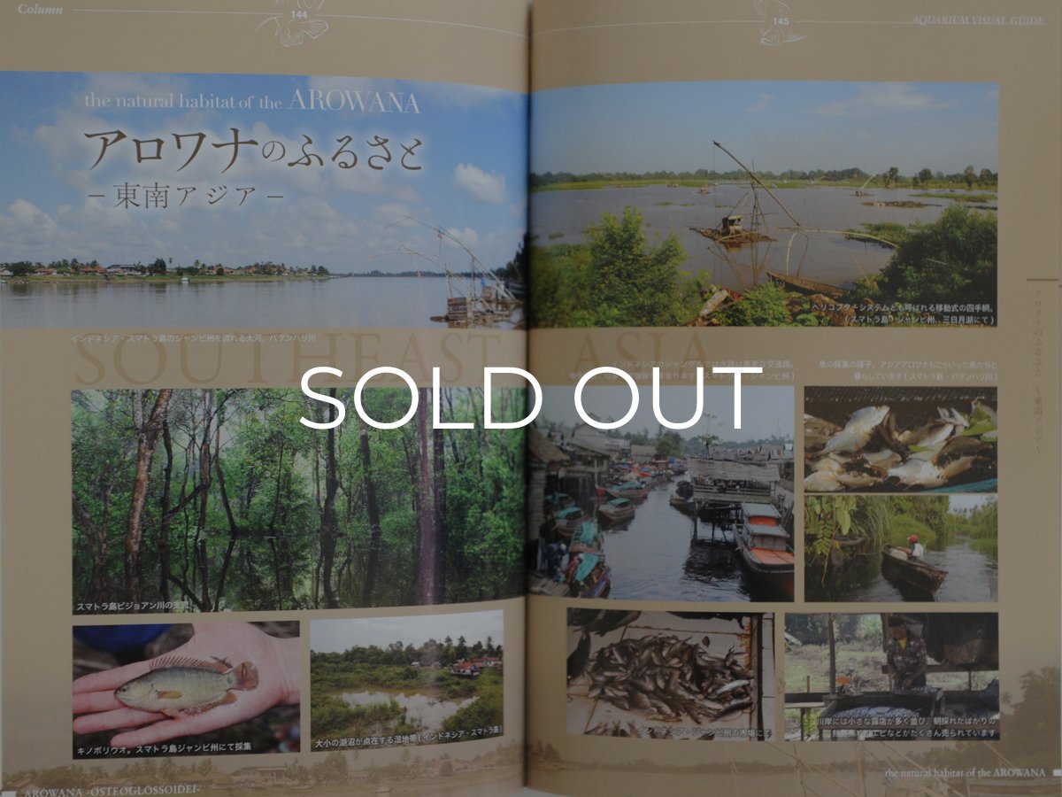 画像4: アロワナ完全飼育 (4)