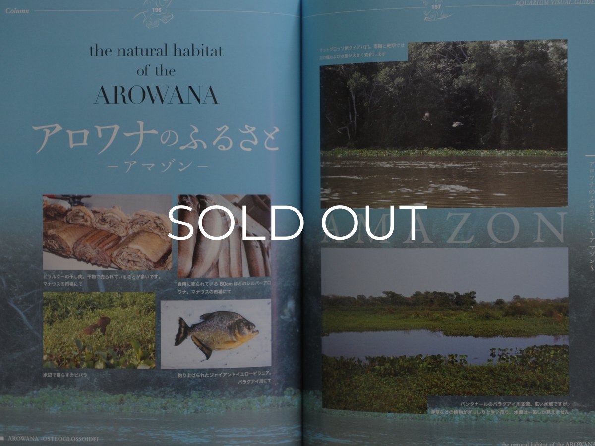 画像5: アロワナ完全飼育 (5)