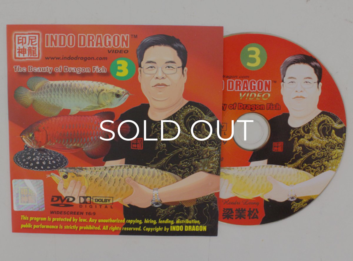 画像3: インドドラゴン８（洋書）「印尼神龍」  (3)