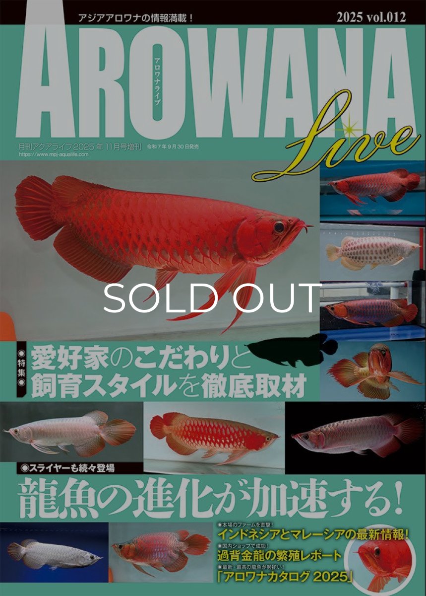 画像1: アロワナライブ　VOL.12 (1)