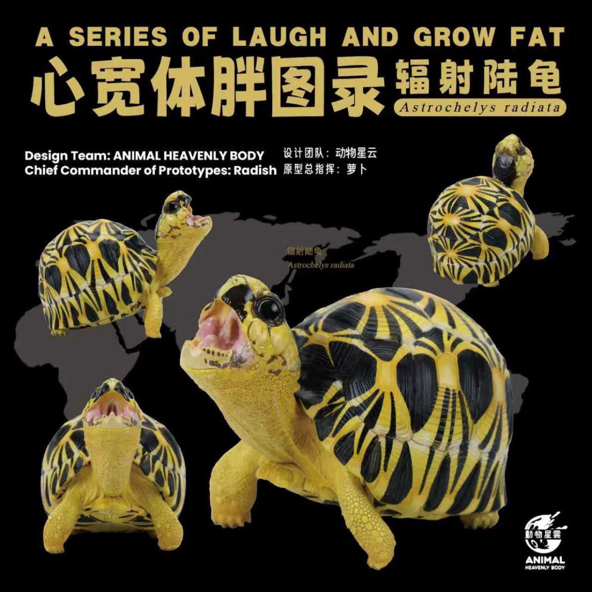 画像1: ホウシャガメ（立像） (1)