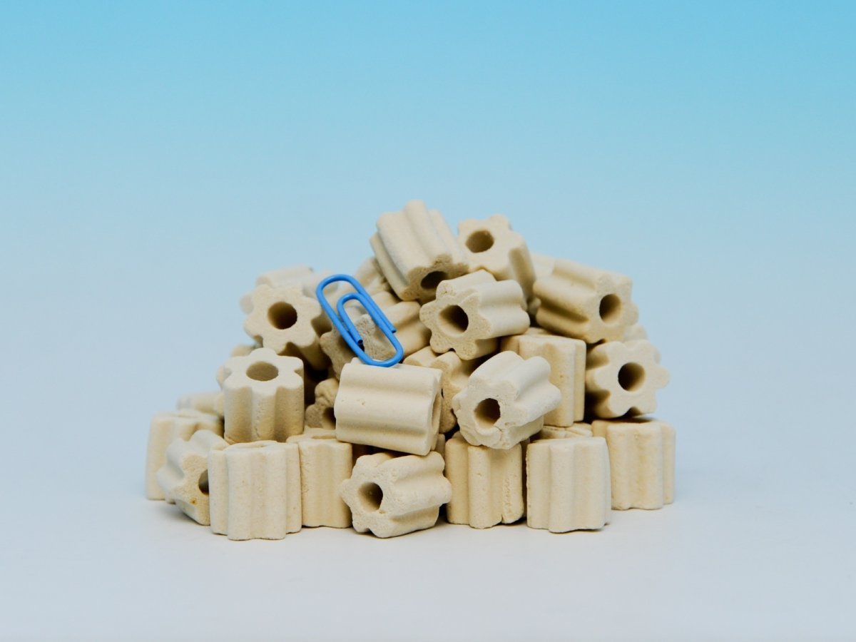 画像1: Rafflesiaオリジナル・多孔質ろ材 (1)