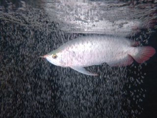 レビュー14-投稿画像1