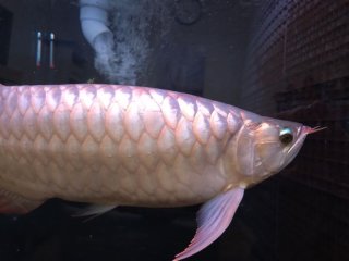 レビュー14-投稿画像2