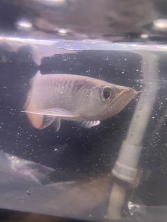 レビュー10-投稿画像2