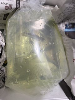 レビュー12-投稿画像1