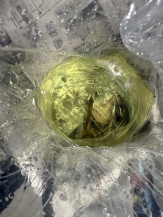 レビュー12-投稿画像2