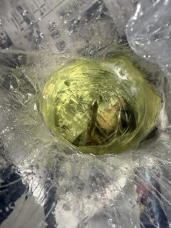 レビュー12-投稿画像2