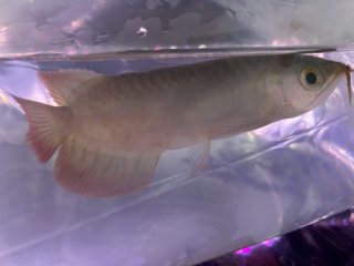 レビュー25-投稿画像1