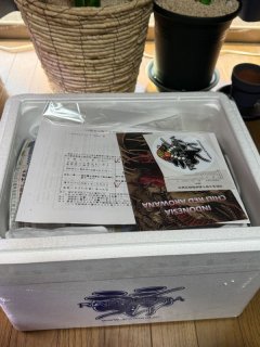 レビュー16-投稿画像1