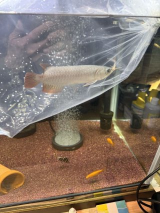 レビュー16-投稿画像2