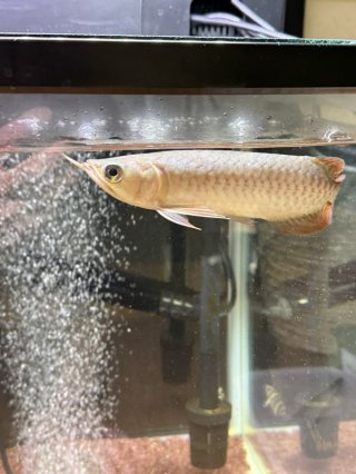 レビュー16-投稿画像3