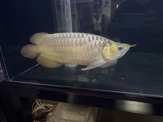 レビュー47-投稿画像1