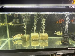 レビュー4-投稿画像2