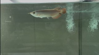 レビュー41-投稿画像3